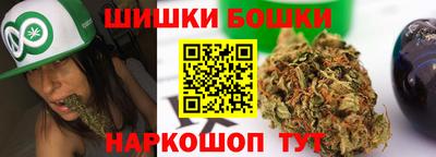 spice Гай