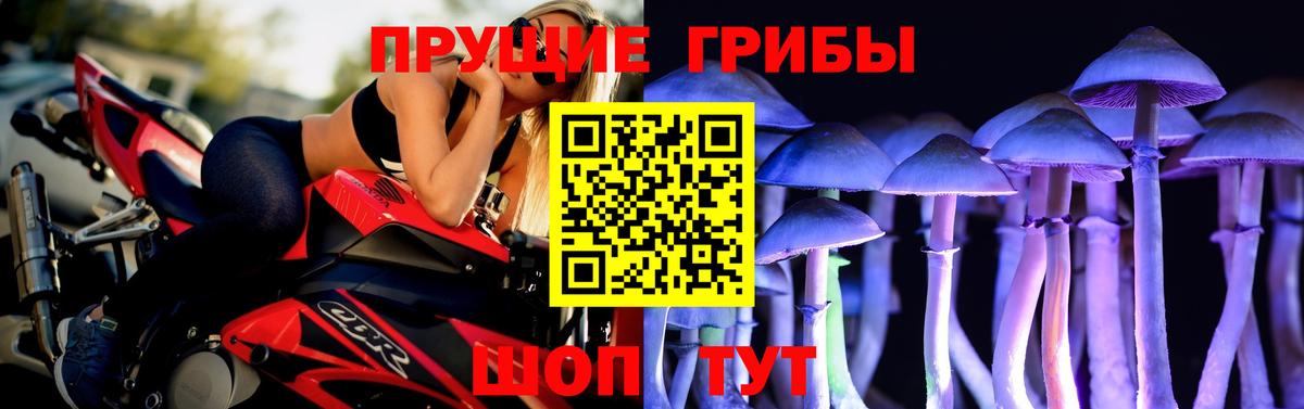 Псилоцибиновые грибы Magic Shrooms  Вход с VPN  Керчь 